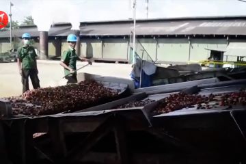 BPKP audit tata kelola industri kelapa sawit