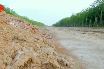 Pembangunan jalan tol di Jambi terkendala ganti rugi lahan