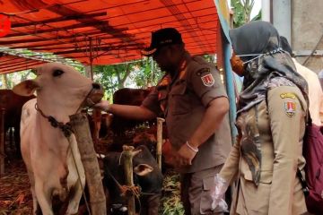 Perketat pengawasan pedagang musiman hewan kurban di Kota Semarang
