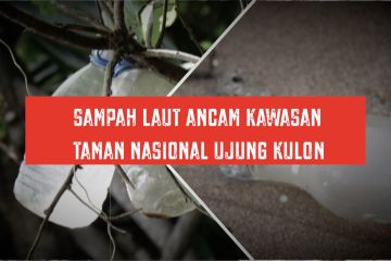 Sampah laut ancam kawasan Taman Nasional Ujung Kulon