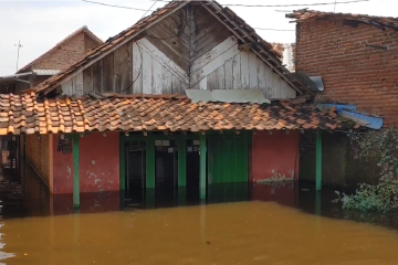 Tanggul sungai jebol sebabkan banjir Pekalongan