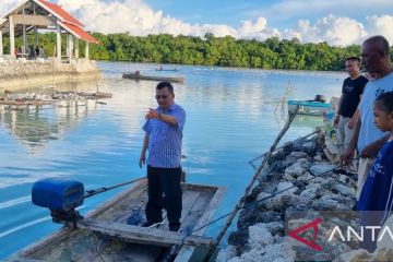 DKP Kepri dorong nelayan kembangkan rumput laut