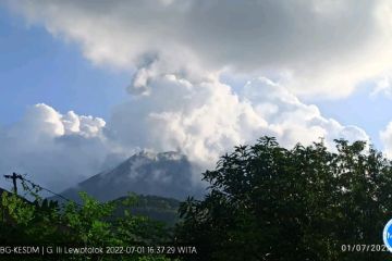 Abu setinggi 1.300 meter, Gunung Ile Lewokotok di Lembata-NTT meletus