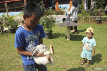 Begini cara tumbuhkan kepedulian anak pada lingkungan sekitar