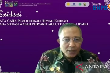 Pemerintah pastikan awasi penjualan hingga pemotongan hewan kurban