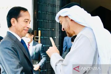 Presiden Jokowi bahas tindak lanjut kerja sama investasi UAE