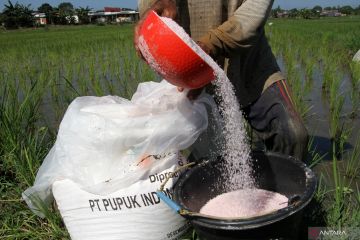 DPR sebut pembatasan pupuk subsidi melihat kebutuhan petani