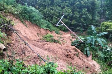 Diterjang longsor, kebun warga desa di Nagekeo-NTT hancur