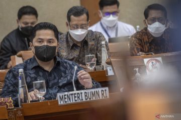 Raker Menteri BUMN dengan Komisi VI DPR