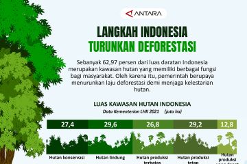 Langkah Indonesia turunkan deforestasi