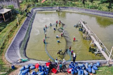 Startup aquatech Delos terus dorong optimalisasi pengelolaan tambak