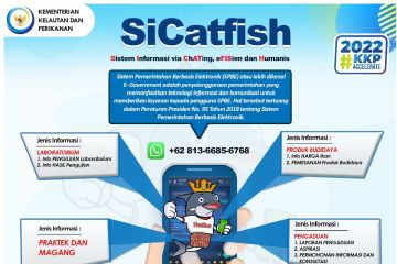 Dirjen KKP: Manfaatkan konsultasi budi daya ikan dengan SiCatfish