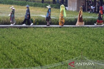 Berlenggak lenggok di persawahan Kampung Tematik Agro Eduwisata Organik Mulyaharja