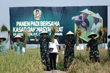 Kebijakan KSAD ubah lahan tidur jadi lahan produktif dinilai positif