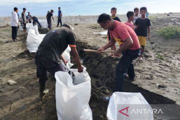 BPBD Aceh Barat bangun tanggul darurat dari karung cegah rob