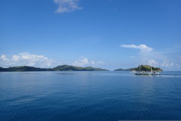 Hasil Riset Habituasi temukan empat titik di laut Jampea rusak berat