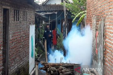 Dinkes: 72 orang warga Kota Pekalongan-Jateng terjangkit DBD