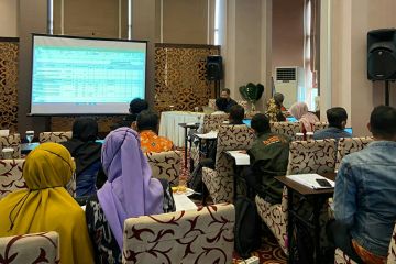 Disbun Kaltim remajakan 2.240 hektare kebun sawit