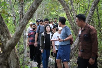 Wisatawan diajak pilih destinasi yang dukung upaya atasi emisi karbon