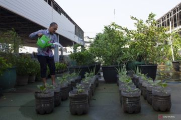 514 pusat pelatihan pertanian ditargetkan terbentuk di Indonesia