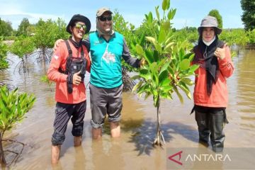 BKSDA optimalkan 40 ribu hektar mangrove Kalsel serap karbondioksida