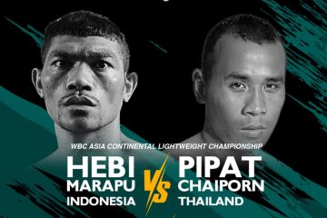 Hebi Marapu kalahkan petinju Thailand demi gelar WBC Asia Continental