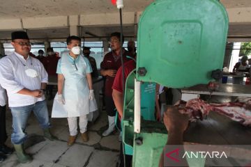 Vaksinasi sapi cegah PMK di Jatim capai 80 persen lebih