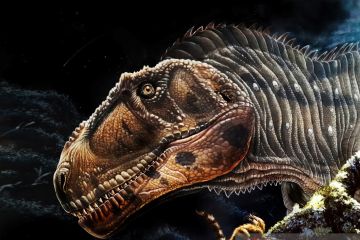 Dinosaurus "gargoyle" Argentina, petunjuk evolusi hewan purba