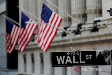 Fitch naikkan prospek Amerika Serikat menjadi "stabil" dari "negatif"