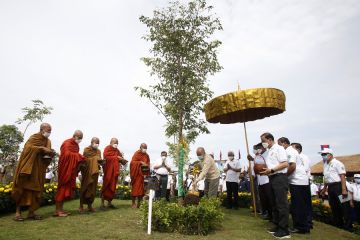 Kamboja rayakan Arbor Day setelah dua tahun absen akibat pandemi