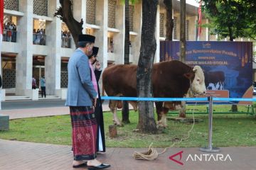 Pengumpulan hewan kurban di Masjid Istiqlal sebanyak 48 ekor