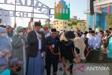 Pengamat sebut sapi kurban Anies untuk JIS  sarat makna politik