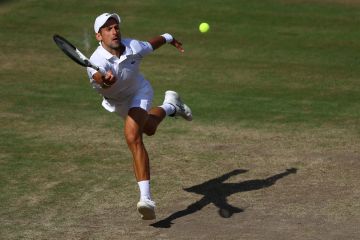 Djokovic turun peringkat meski menang di Wimbledon