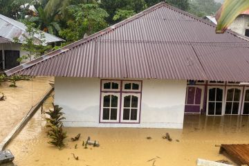 Korban Banjir Kaitetu Minta Uluran Tangan Pemerintah