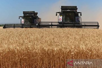 Rusia pertanyakan kesepakatan ekspor biji-bijian yang ditengahi PBB