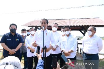 Presiden Jokowi segera ajukan calon pengganti Lili Pintauli