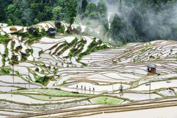 China tuan rumah Konferensi Sistem Warisan Pertanian Penting Global