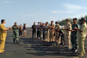 DKP Kulon Progo melepasliarkan tukik di Pantai Congot