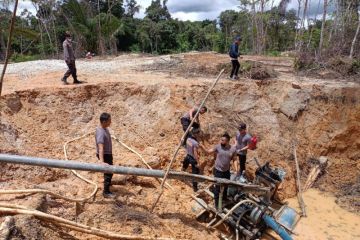 Peti marak saat harga komoditas tinggi, butuh komitmen penegakan hukum