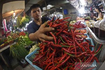 Harga cabai merah meroket