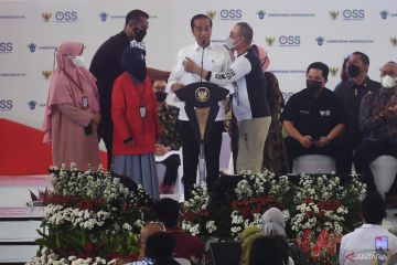 Presiden Jokowi serahkan NIB pada pelaku UMK
