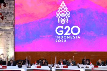 G20 RI kumpulkan 1,3 miliar dolar AS Dana Perantara Keuangan