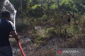 Satu hektare lahan di Pidie Jaya terbakar di tengah kemarau basah