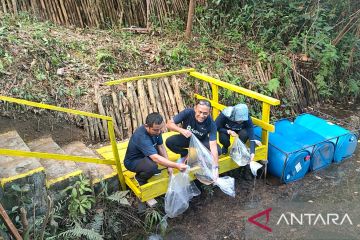 PT Timah lanjutkan program penanaman mangrove di Mentok