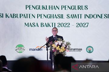 Mendag: Produktivitas meningkat, petani sawit sejahtera