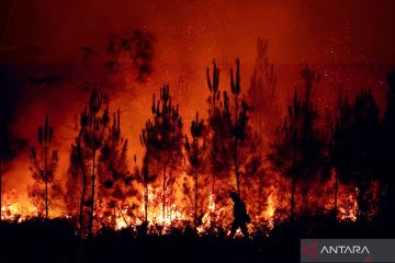 Kebakaran hutan di Prancis