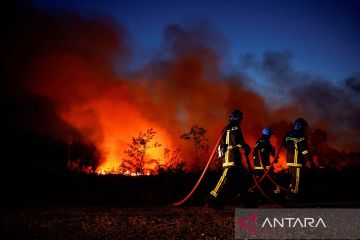 Kobaran api terus lahap hutan di Maroko