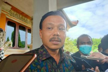 Satgas Bali catat 526 ekor sapi terjangkit PMK