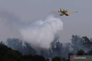 Kebakaran hutan dan lahan di Spanyol