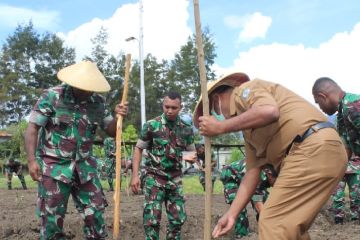 Kodim 1702/Jayawijaya galakkan penanaman jagung di lahan tidur